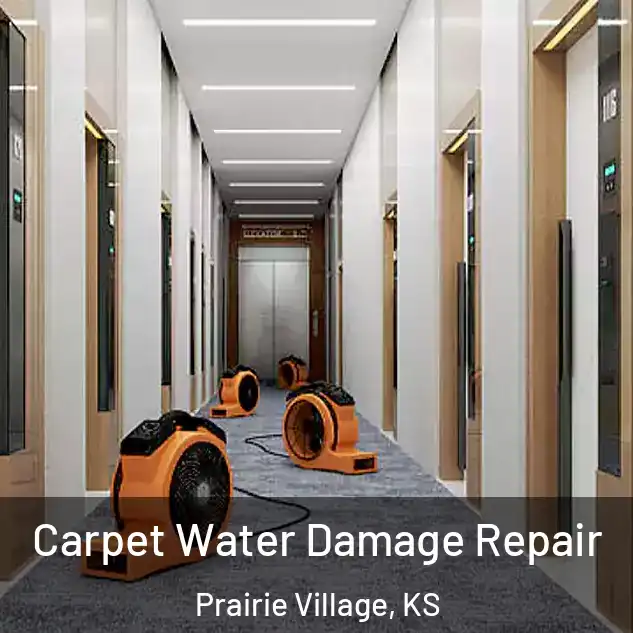  Carpet Water Damage Repair Prairie Village, KS