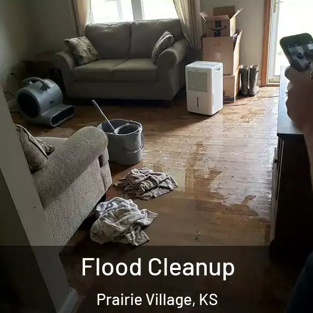  Flood Cleanup Prairie Village, KS