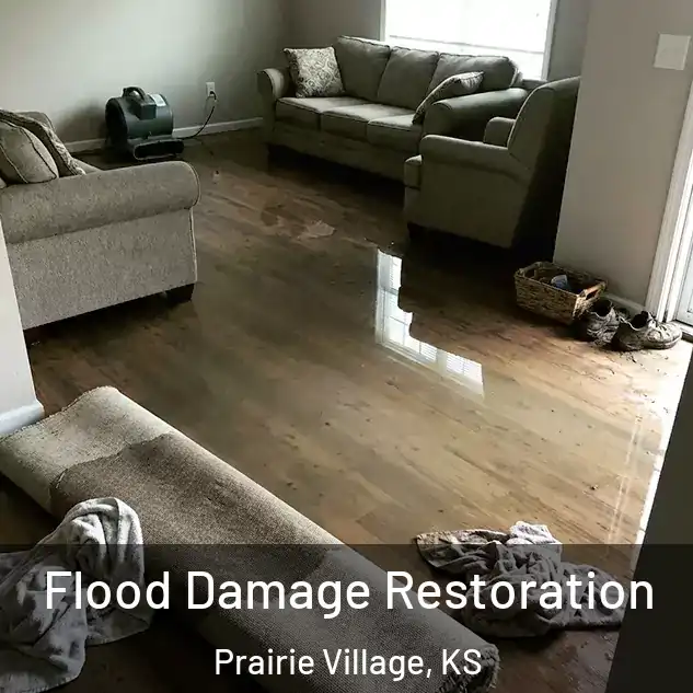  Flood Damage Restoration Prairie Village, KS