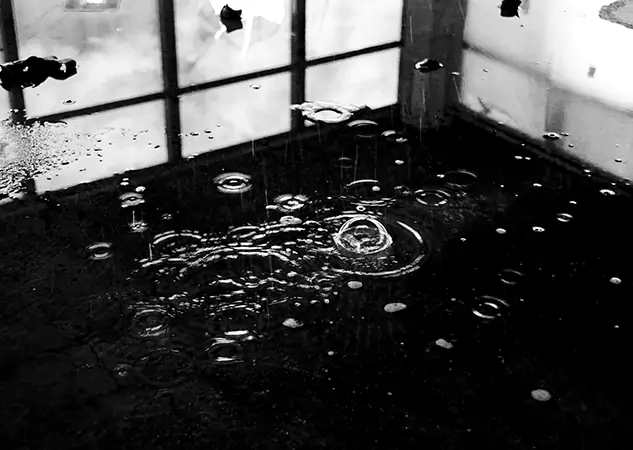 Your Contaminated Water Removal Specialists in Prairie Village, KS