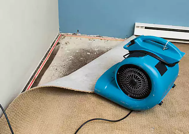 Your Water Damage Experts in Prairie Village, KS