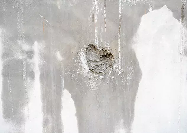 Your Mold Mitigation Solutions Partner in Prairie Village, KS