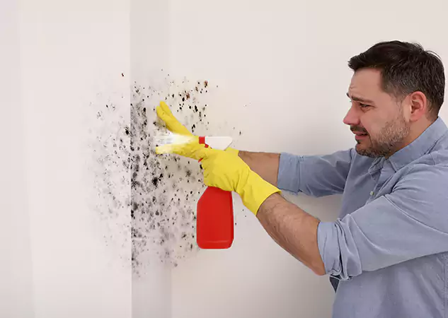Your Water Mold Fire Restoration Partner in Prairie Village, KS