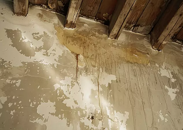 Your Trusted Restoration Company in Prairie Village, KS