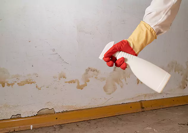 Your Water Restoration and Mold Remediation Specialists in Prairie Village, KS