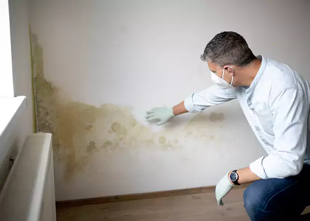 Reach Our Remediation Team Before Damage Grows in Prairie Village, KS!