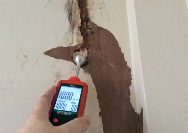 Your Water Damage Assessment Partner in Prairie Village, KS