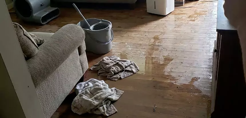 Professional Basement Water Remediation Services in Prairie Village, KS