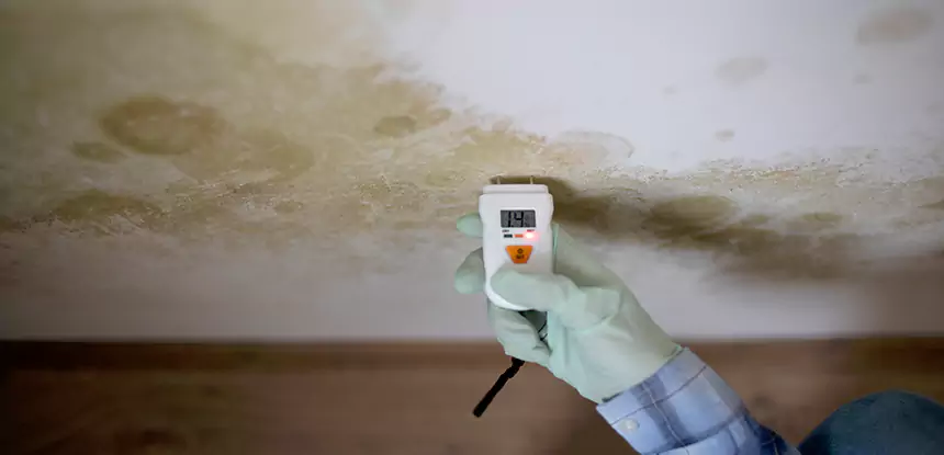 Emergency Mold Remediation in Prairie Village