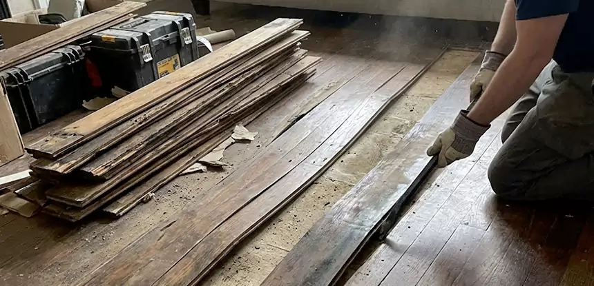 Wood Rot and Fungus Repair in Prairie Village
