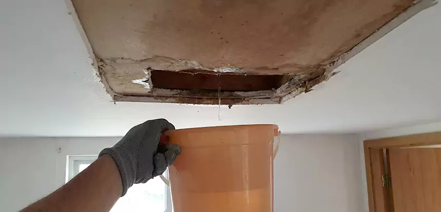 Ceiling Mold Repair Prairie Village 