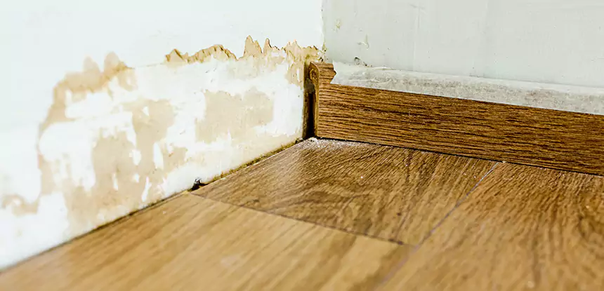 Professional Fix Water Damaged Wood Services in Prairie Village, KS