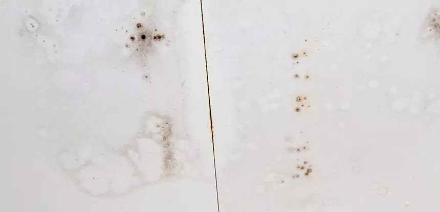 Professional Water Stain Repair Services in Prairie Village, KS