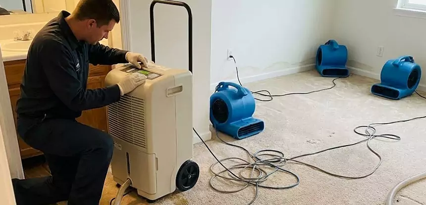 Professional Wet Carpet Removal Services in Prairie Village, KS