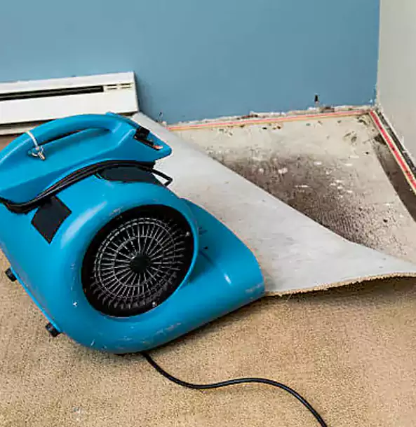 Why Prairie Village Trusts Prairie Village Restoration Pro for Carpet Flood Recovery?