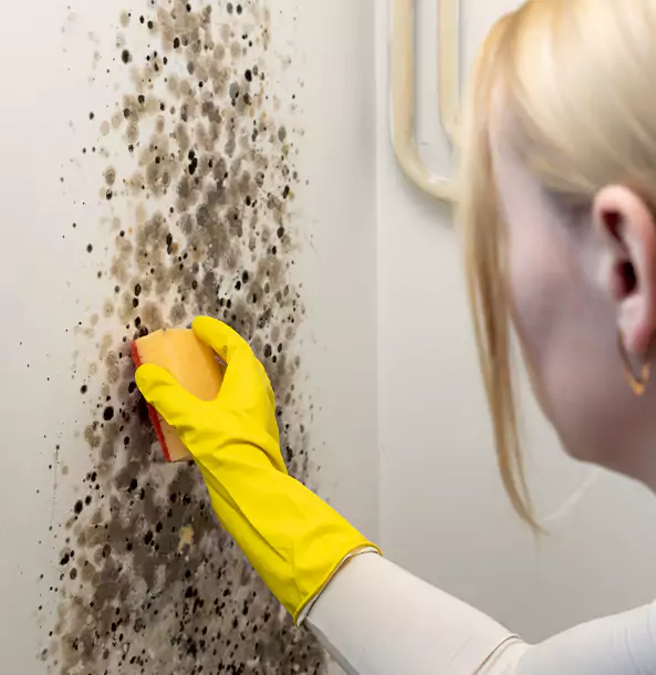 Why Prairie Village Restoration Pro Leads Mold Remediation in Prairie Village?