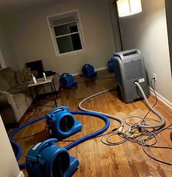 Why Prairie Village Property Owners Rely on Prairie Village Restoration Pro for Remediation?