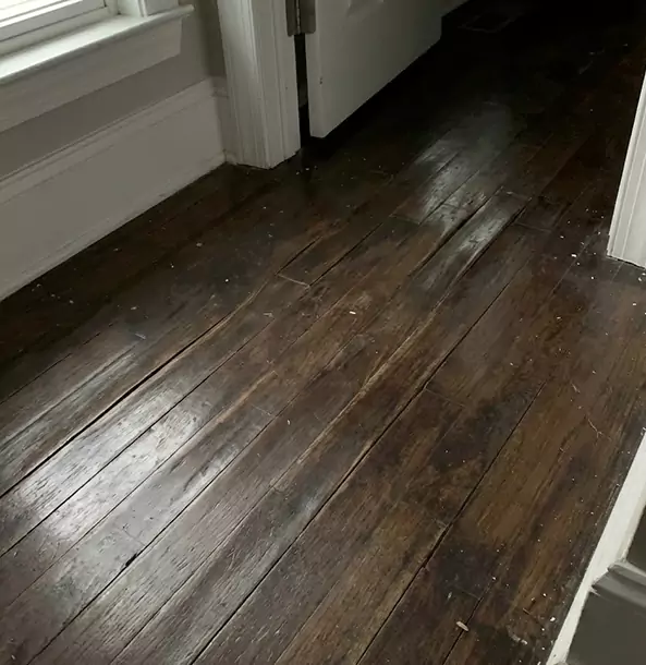 Why Prairie Village Homeowners Trust Prairie Village Restoration Pro to Fix Water Damaged Wood?