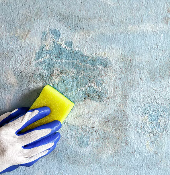 Why Prairie Village Restoration Pro Is the Right Choice in Prairie Village, KS?