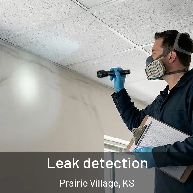  Leak detection Prairie Village, KS