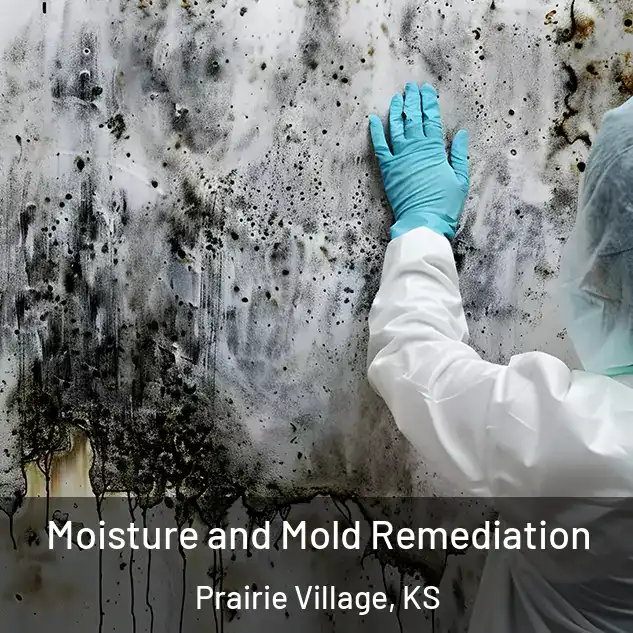  Moisture and Mold Remediation Prairie Village, KS