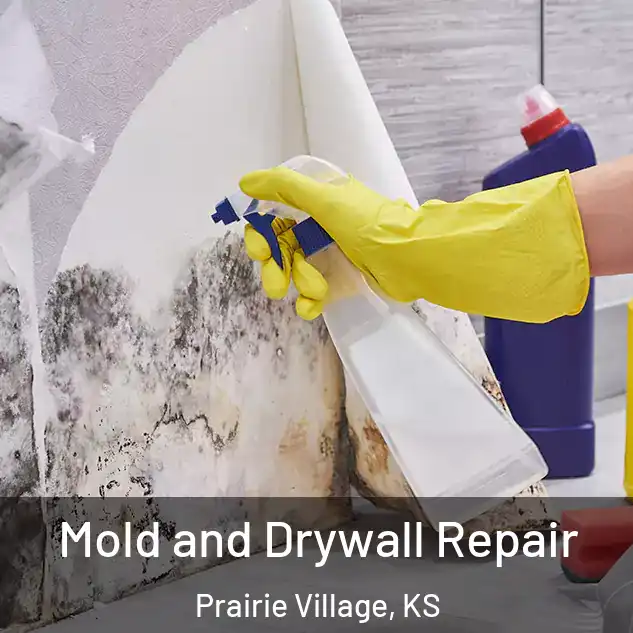  Mold and Drywall Repair Prairie Village, KS