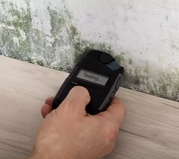 Mold Remediation Service Prairie Village