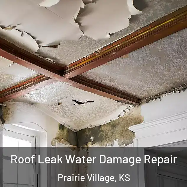  Roof Leak Water Damage Repair Prairie Village, KS