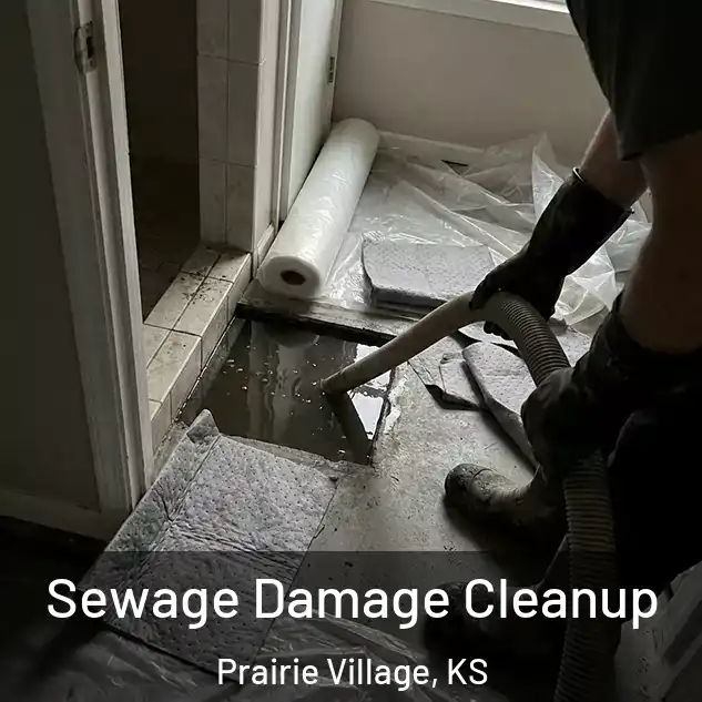  Sewage Damage Cleanup Prairie Village, KS