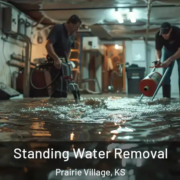  Standing Water Removal Prairie Village, KS