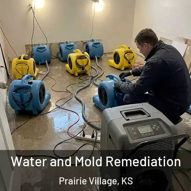  Water and Mold Remediation Prairie Village, KS