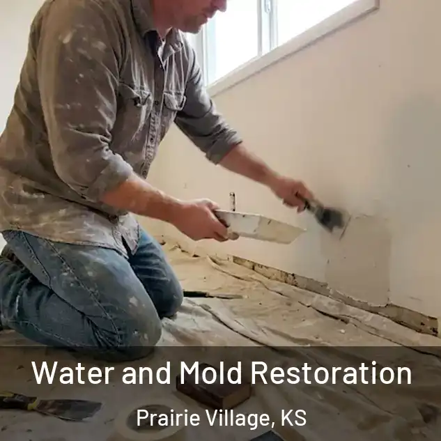  Water and Mold Restoration Prairie Village, KS