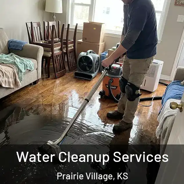  Water Cleanup Services Prairie Village, KS