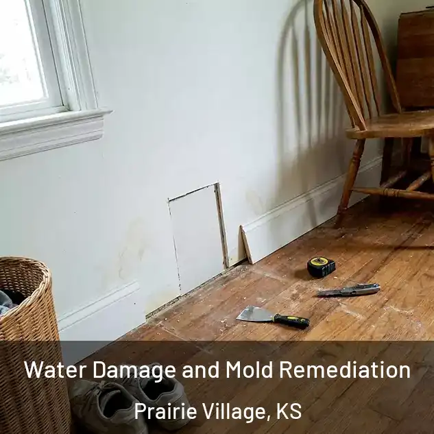  Water Damage and Mold Remediation Prairie Village, KS
