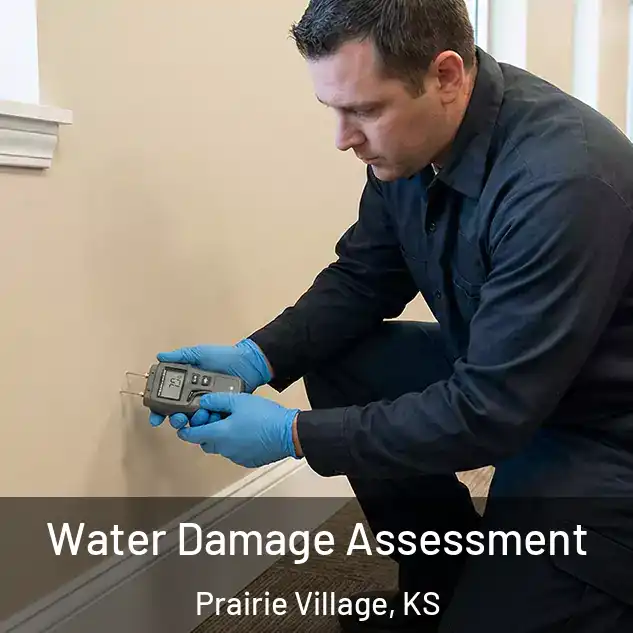  Water Damage Assessment Prairie Village, KS
