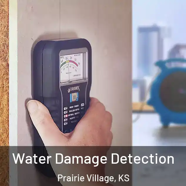  Water Damage Detection Prairie Village, KS