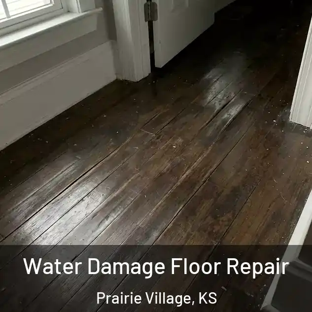  Water Damage Floor Repair Prairie Village, KS