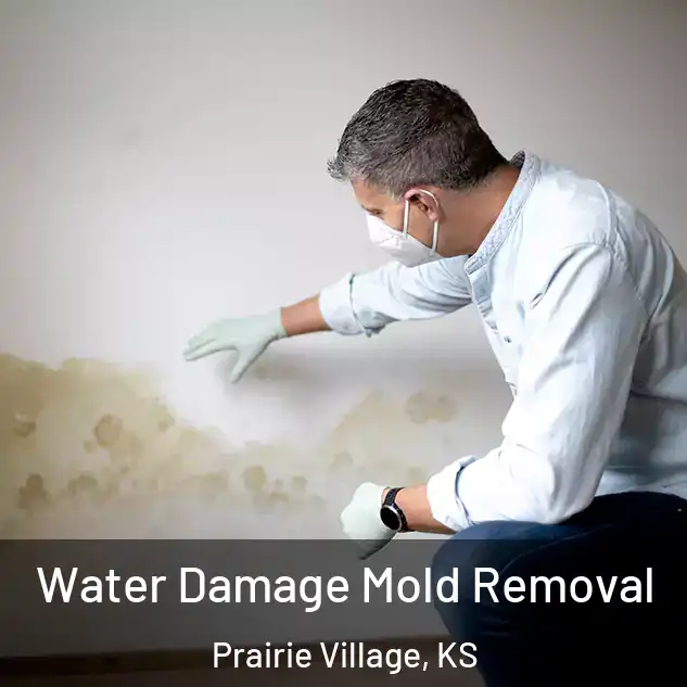  Water Damage Mold Removal Prairie Village, KS