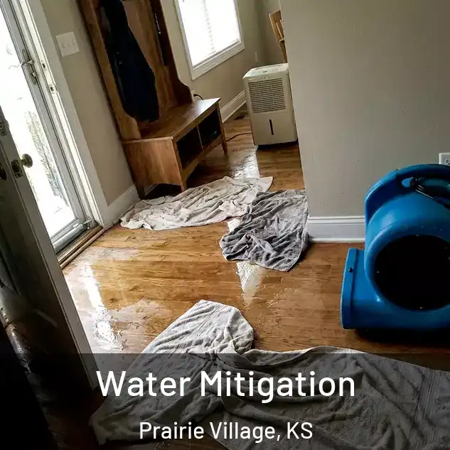  Water Mitigation Prairie Village, KS
