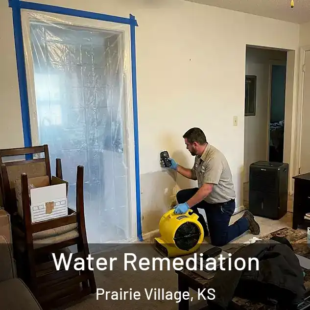  Water Remediation Prairie Village, KS