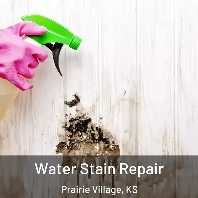  Water Stain Repair Prairie Village, KS