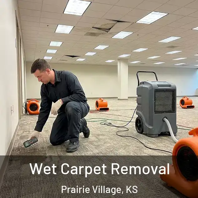  Wet Carpet Removal Prairie Village, KS